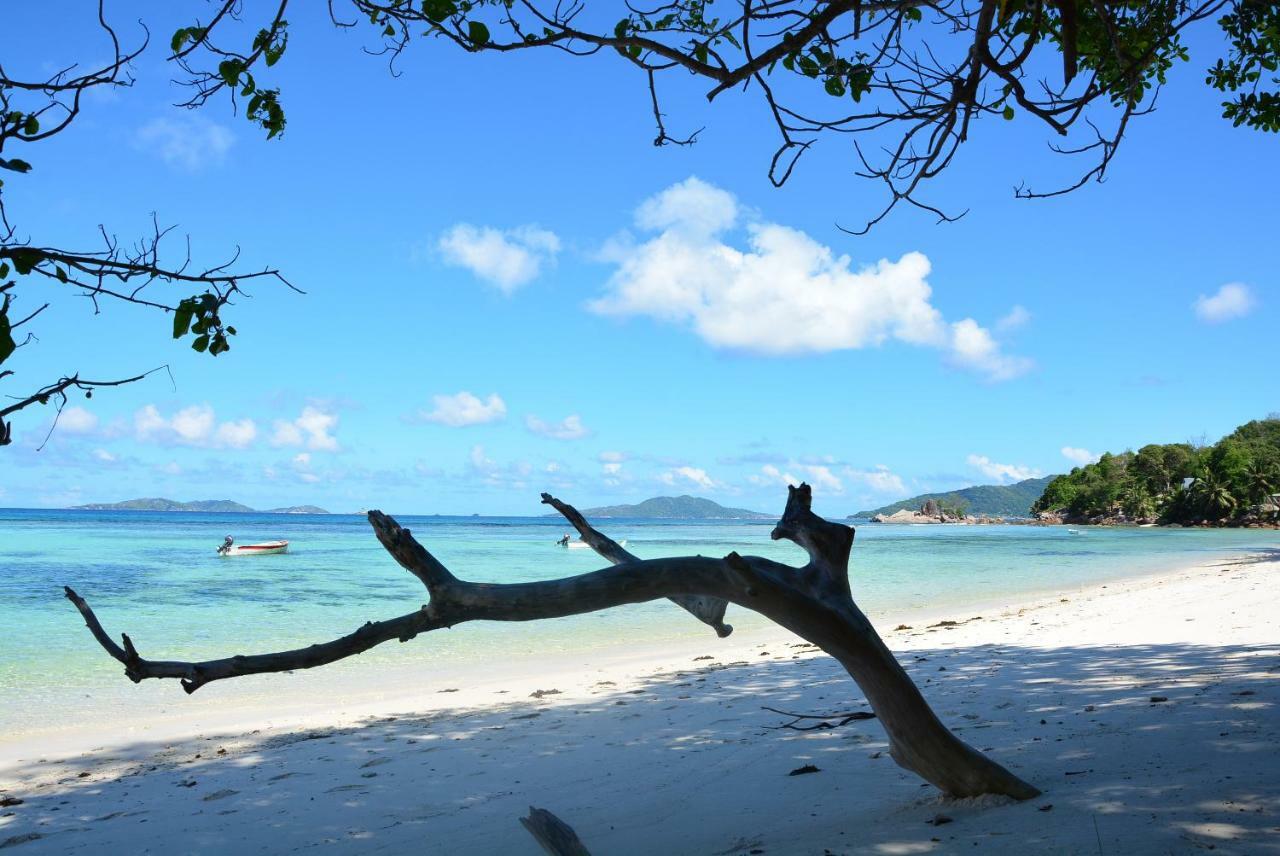 Villa Anse La Blague Baie Sainte Anne Esterno foto