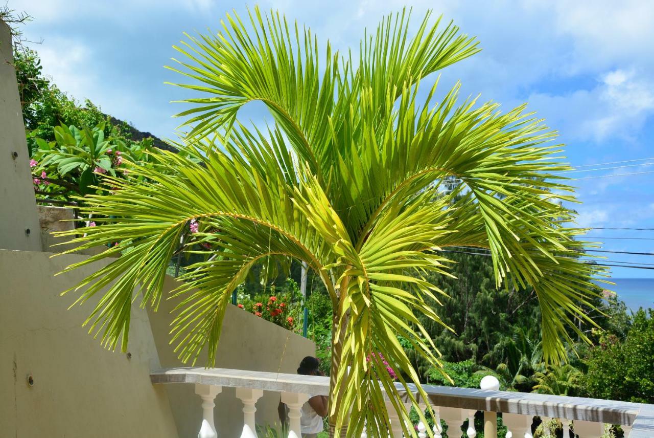 Villa Anse La Blague Baie Sainte Anne Esterno foto