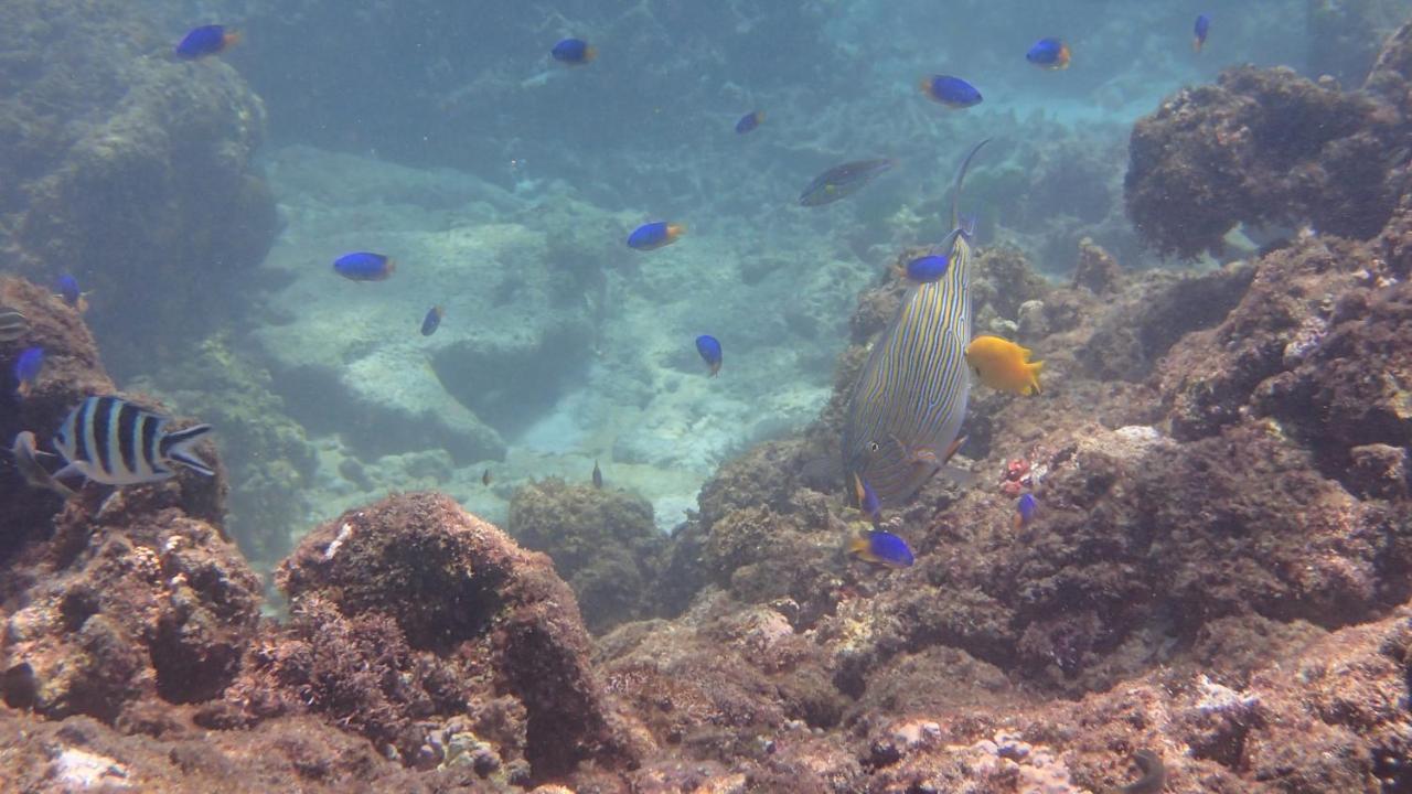 Villa Anse La Blague Baie Sainte Anne Esterno foto