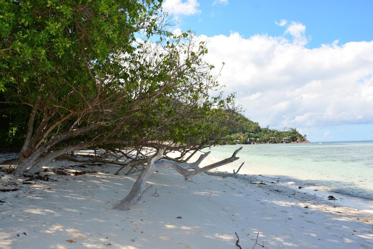 Villa Anse La Blague Baie Sainte Anne Esterno foto